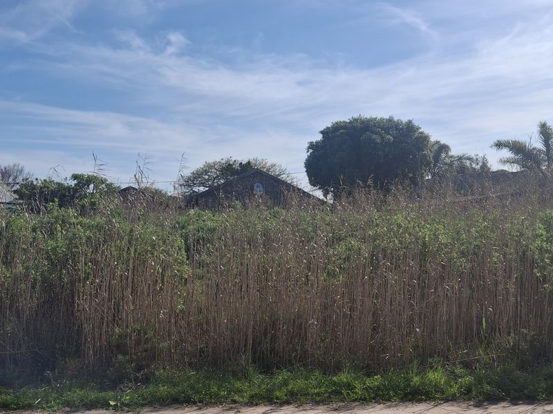 A view of a vacant residential plot covered in dense, overgrown vegetation, situated in a developed neighborhood.