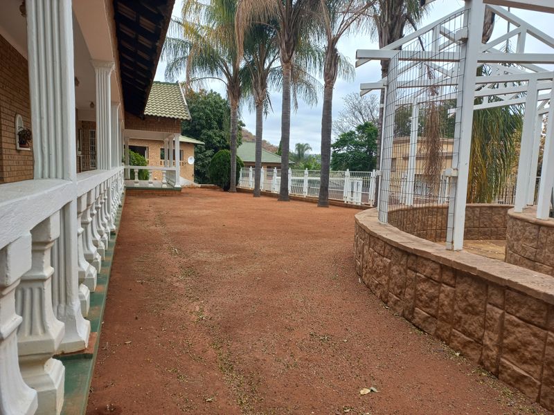 Spacious rear exterior area featuring a covered patio with classic balustrades, a stone retaining wall, and established palm trees in a garden setting.