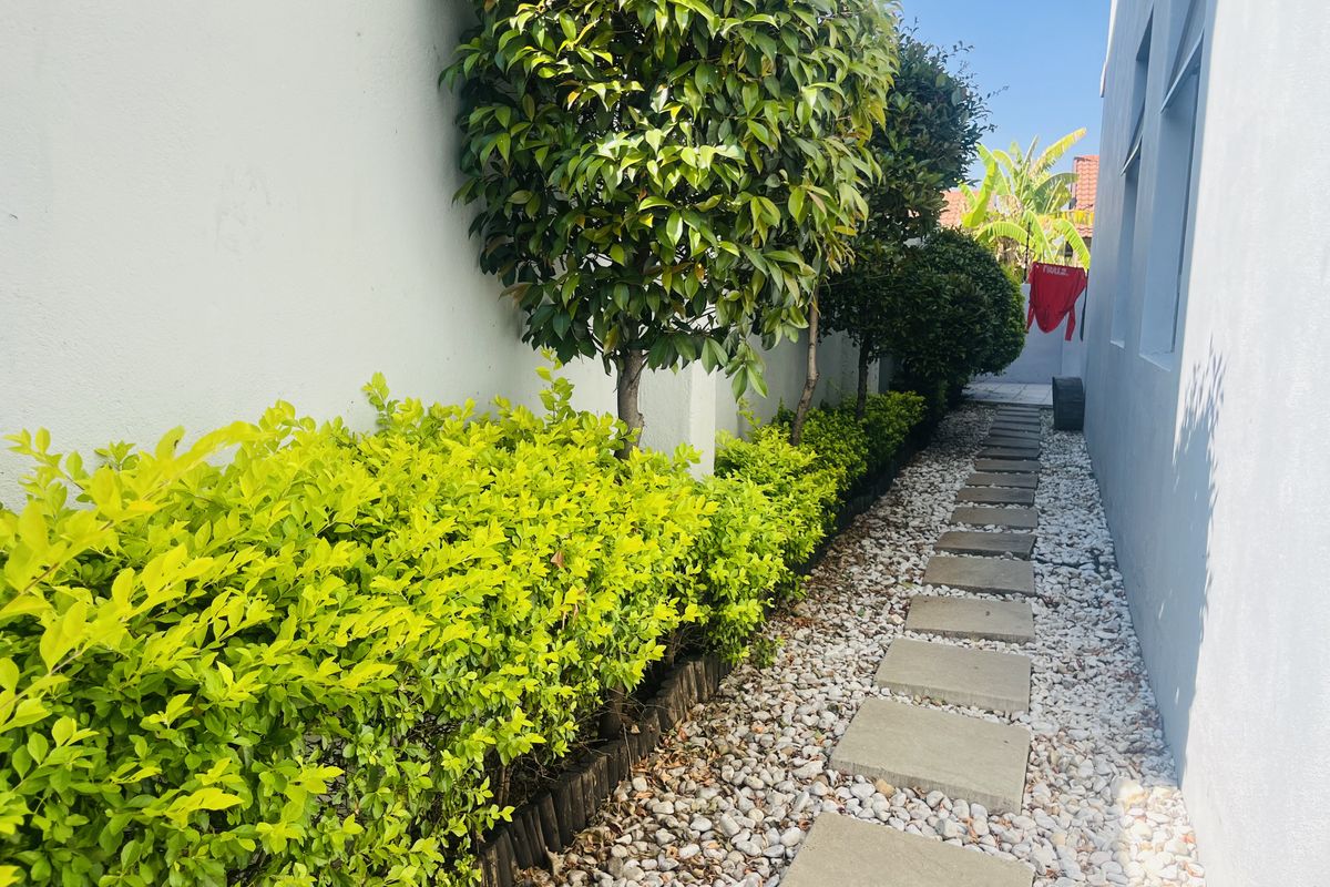 A well-maintained side garden path featuring stone pavers, decorative gravel, and manicured hedging along the boundary wall.