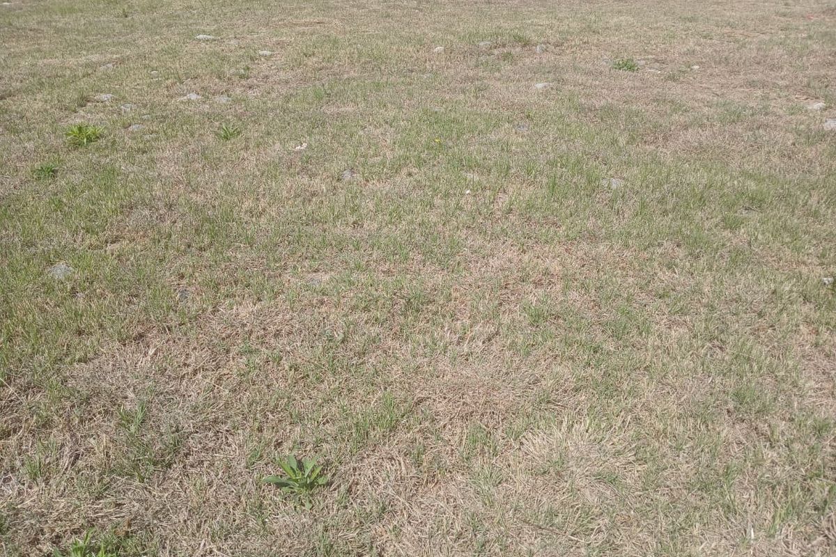 A view of the vacant residential land featuring a grassed area and a perimeter boundary wall.