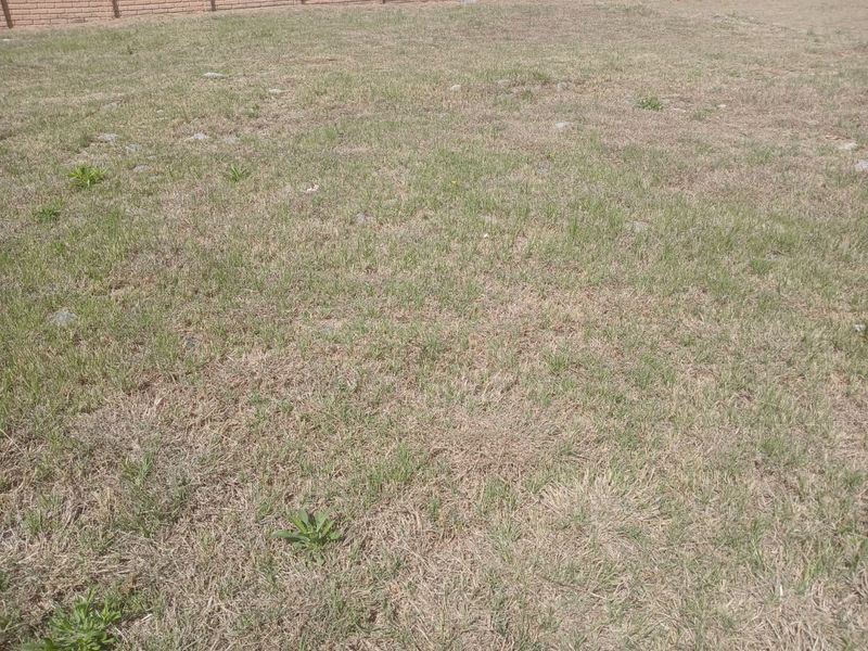 A view of the vacant residential land featuring a grassed area and a perimeter boundary wall.
