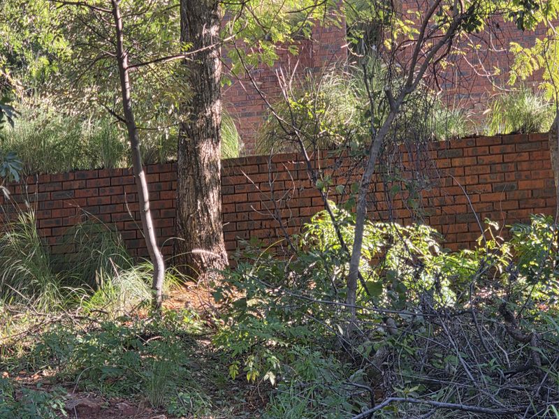 Vacant Land Residential For Sale In Rustenburg - Photo 4
