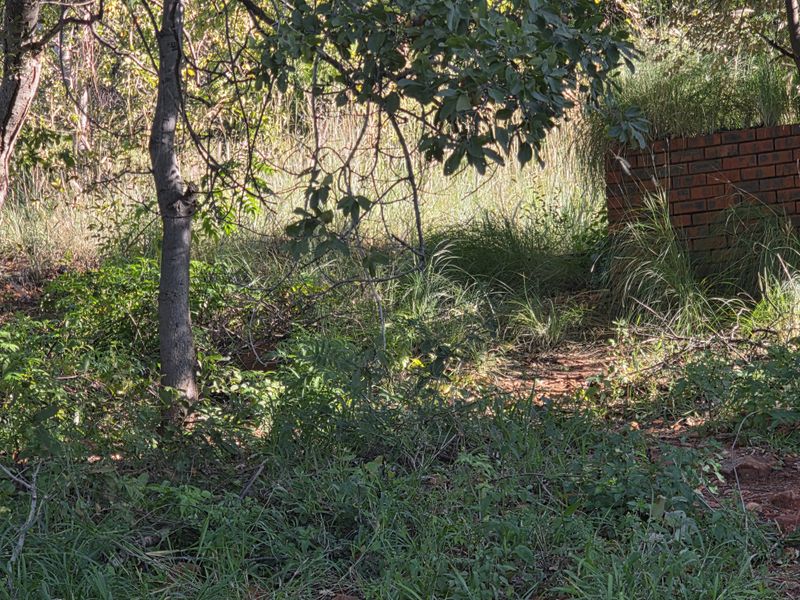 Vacant Land Residential For Sale In Rustenburg - Photo 3