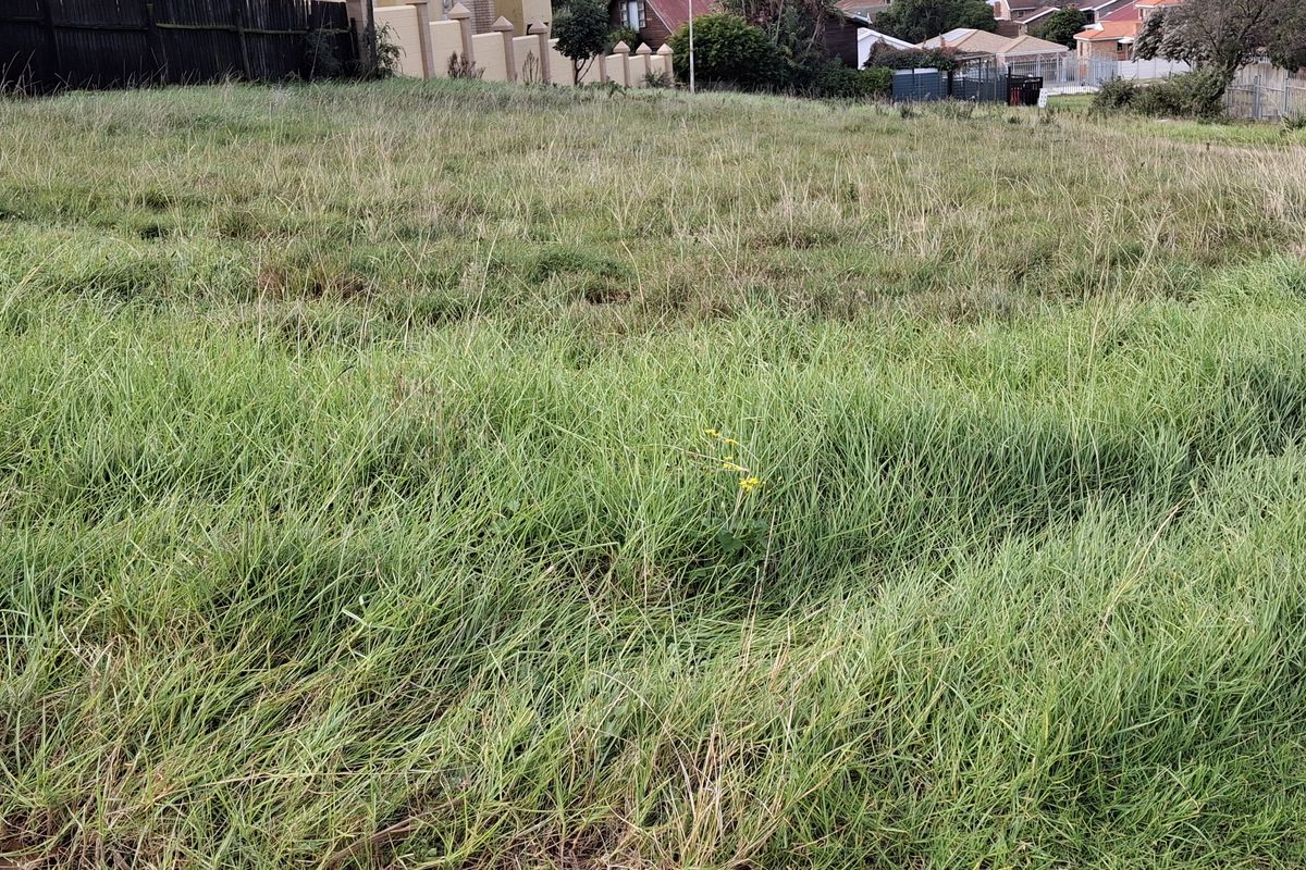 Vacant land in Aston Bay - Photo 4