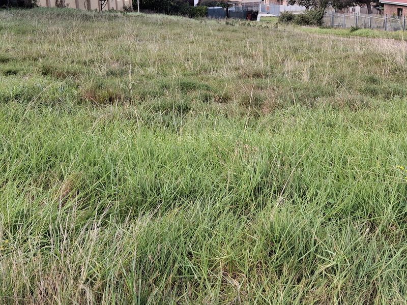 Vacant land in Aston Bay - Photo 5