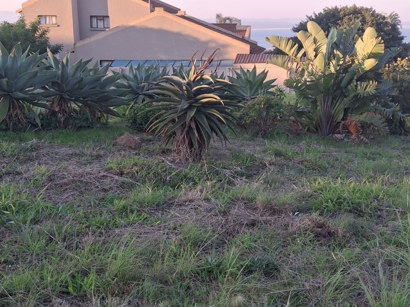 Corner stand in suburb area with a beautiful sea view! - Photo 4