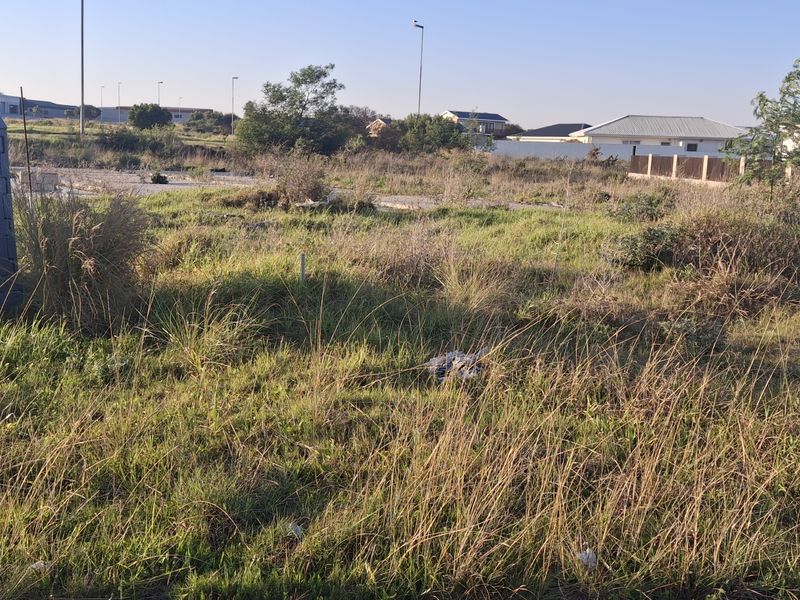 Prime 613m2 Level Stand in Sought-After Fountains Estate - Photo 2