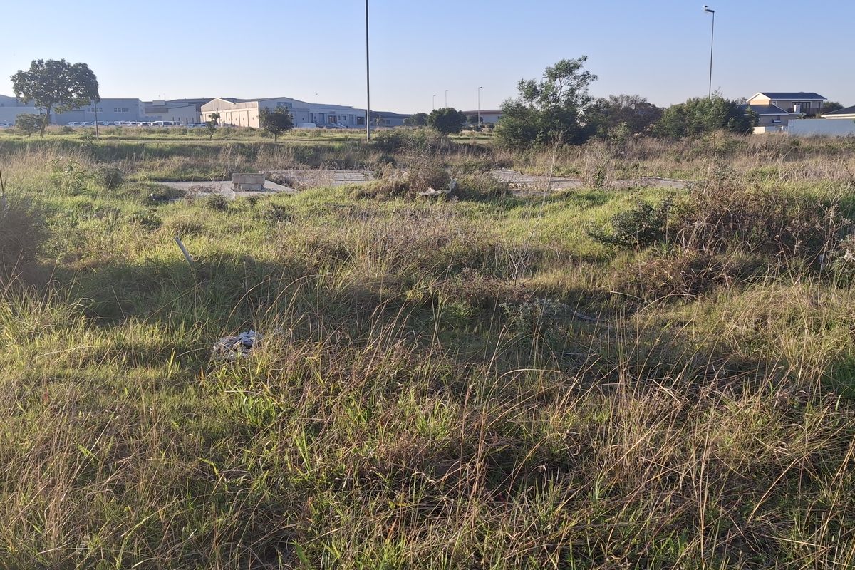 Prime 613m2 Level Stand in Sought-After Fountains Estate - Photo 3