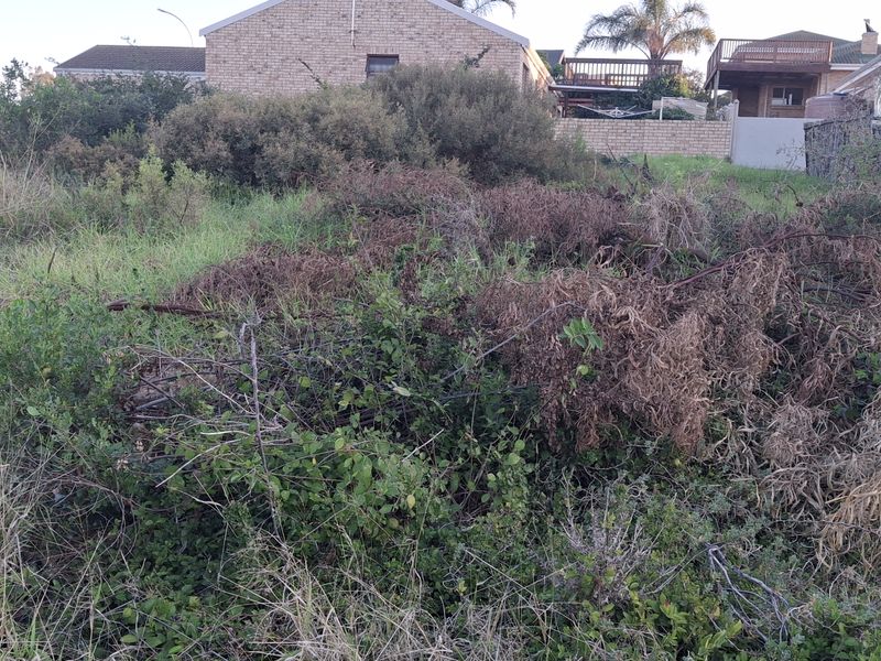Vacant land in Wavecrest - Photo 3
