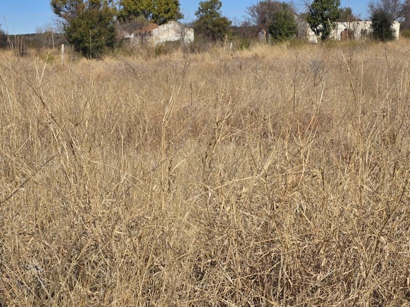 Vacant Land Residential For Sale In Swartruggens - Photo 2