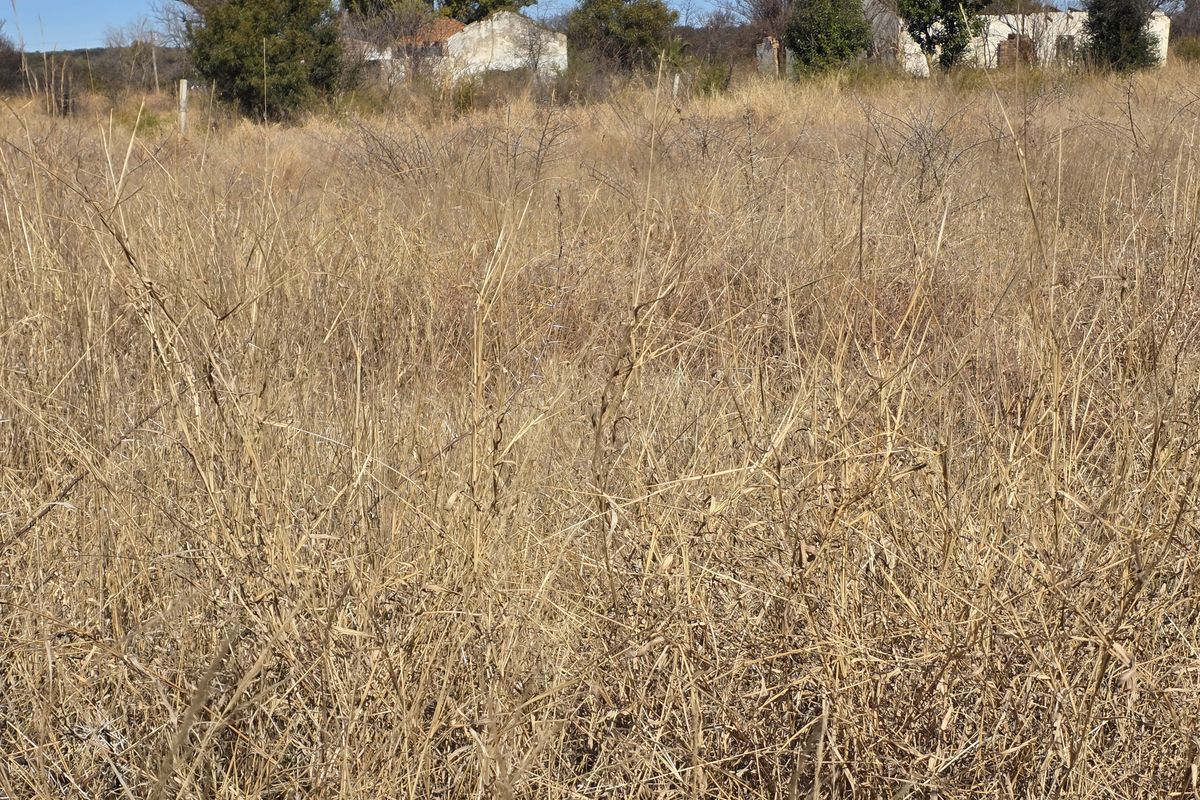 Vacant Land Residential For Sale In Swartruggens - Photo 2