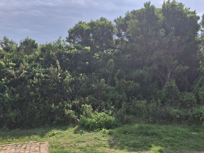 Prime Elevated Stand - Coastal Living at its Finest - Photo 2