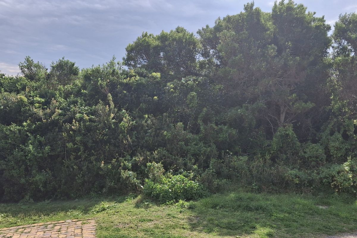 Prime Elevated Stand - Coastal Living at its Finest - Photo 2