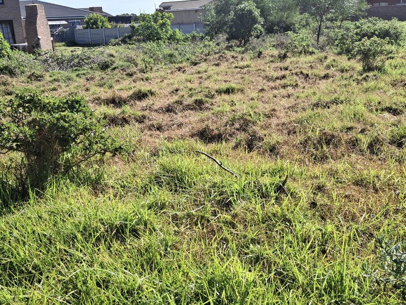 Tranquil Coastal Retreat – 768m2 of Untouched Potential - Vacant Land - Photo 3