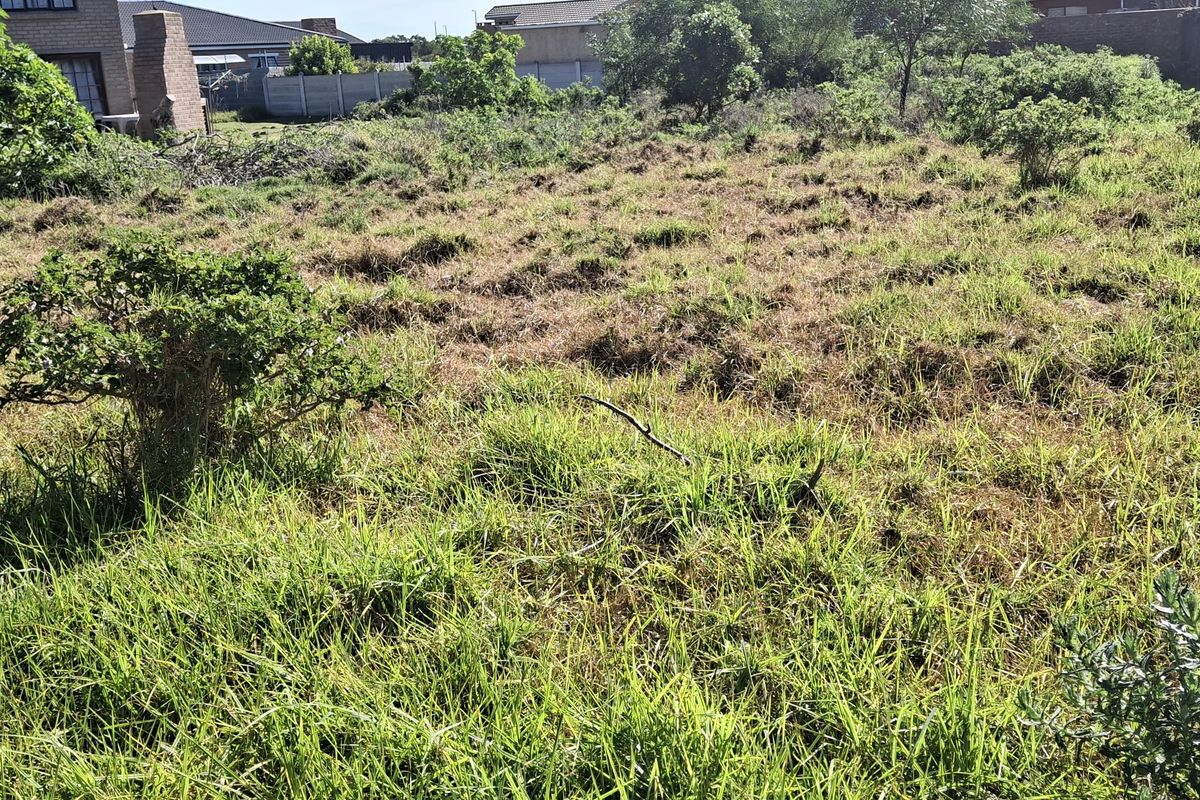 Tranquil Coastal Retreat – 768m2 of Untouched Potential - Vacant Land - Photo 3