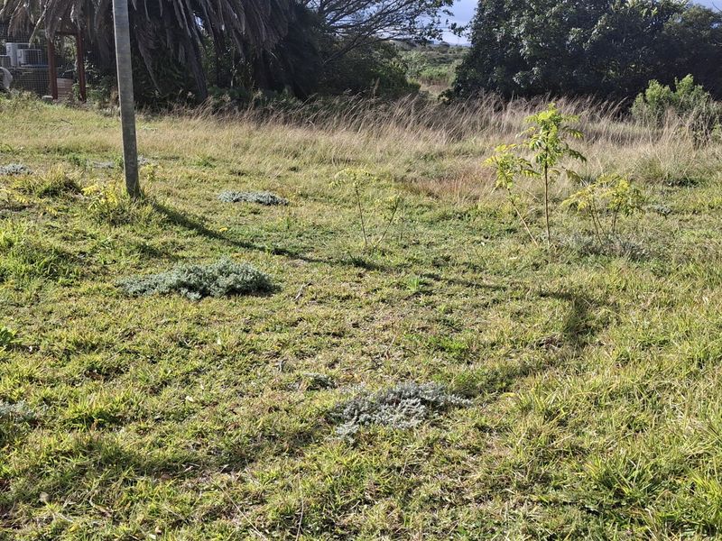A view of the undeveloped residential land featuring natural grass cover, mature trees, and perimeter fencing.