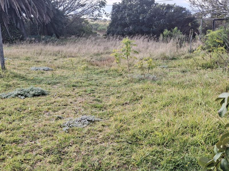 A view of the residential vacant land featuring overgrown grass, mature trees, and perimeter wire fencing.