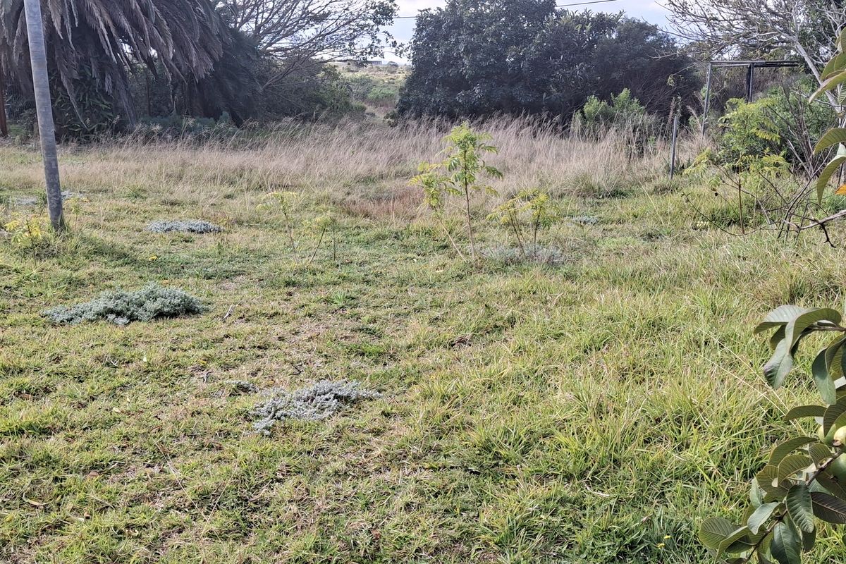 A view of the residential vacant land featuring overgrown grass, mature trees, and perimeter wire fencing.