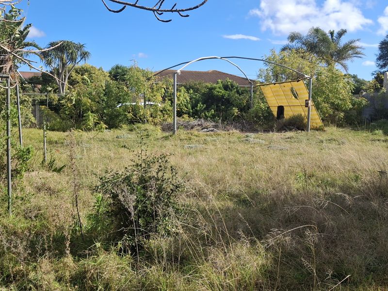 A vacant residential plot featuring overgrown grass, mature trees, perimeter fencing, and a damaged metal frame structure.