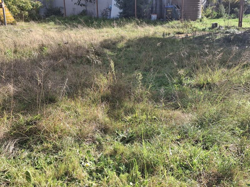 A view of an overgrown residential plot featuring wire mesh fencing and a water tank in the background.