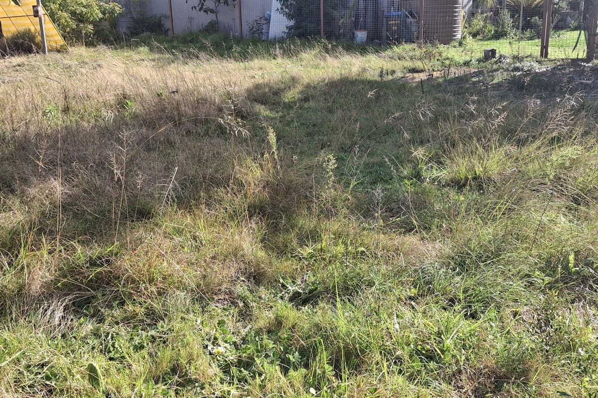 A view of an overgrown residential plot featuring wire mesh fencing and a water tank in the background.
