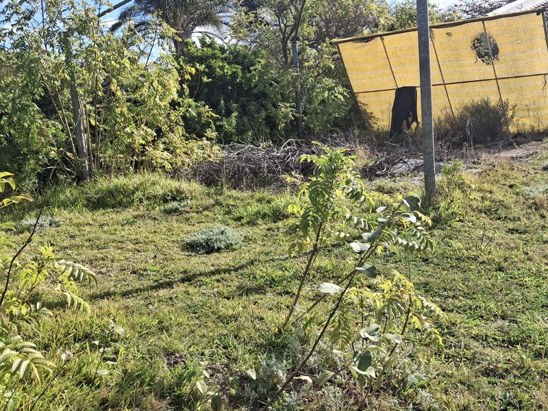 A view of a residential plot featuring overgrown grass, mature trees, and a damaged temporary shade structure.