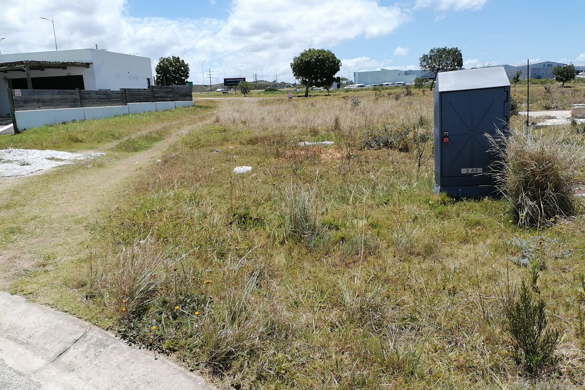 Vacant Land/Plot for Sale in Fountains Estate - Photo 4