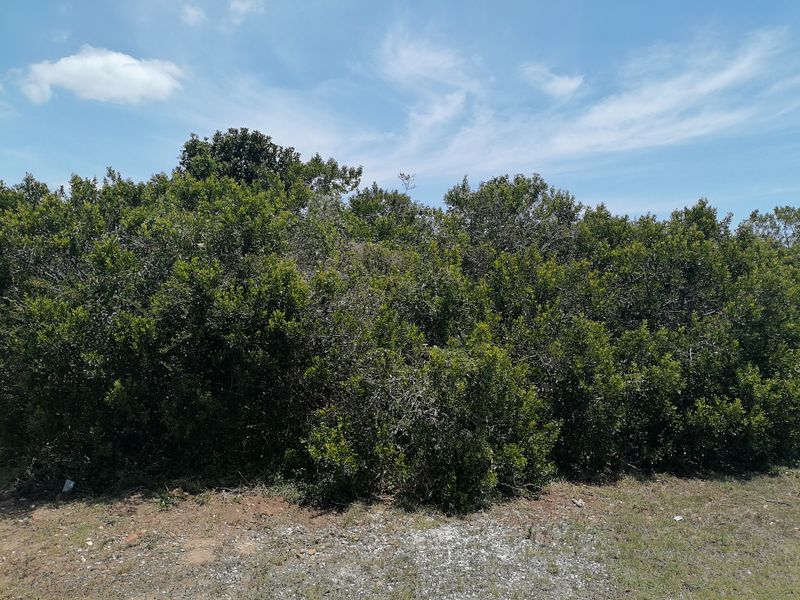 Vacant Land for sale in Noorsekloof - Jeffrey's Bay - Photo 2