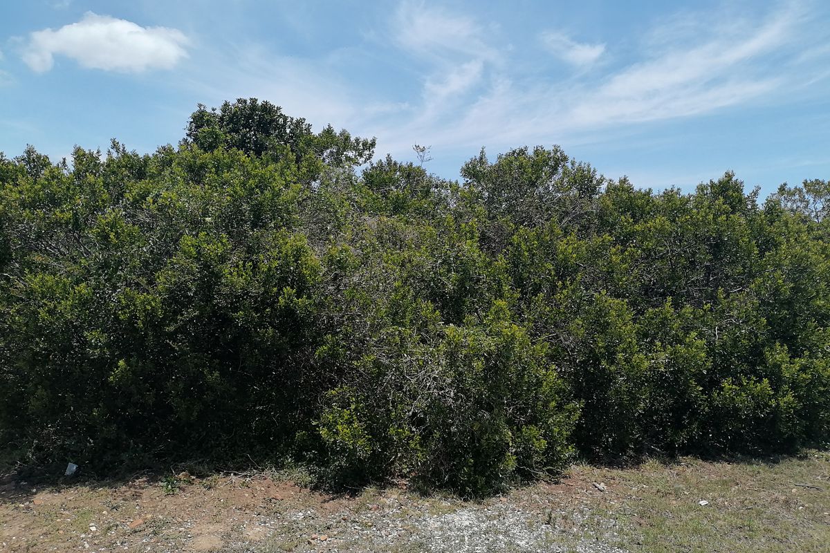 Vacant Land for sale in Noorsekloof - Jeffrey's Bay - Photo 2