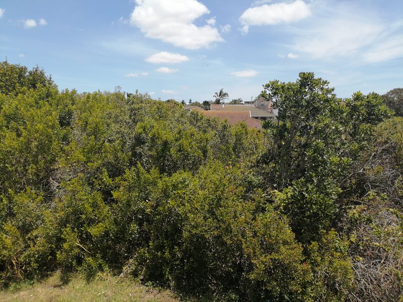 Vacant Land for sale in Noorsekloof - Jeffrey's Bay - Photo 3