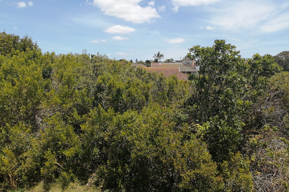 Vacant Land for sale in Noorsekloof - Jeffrey's Bay - Photo 3