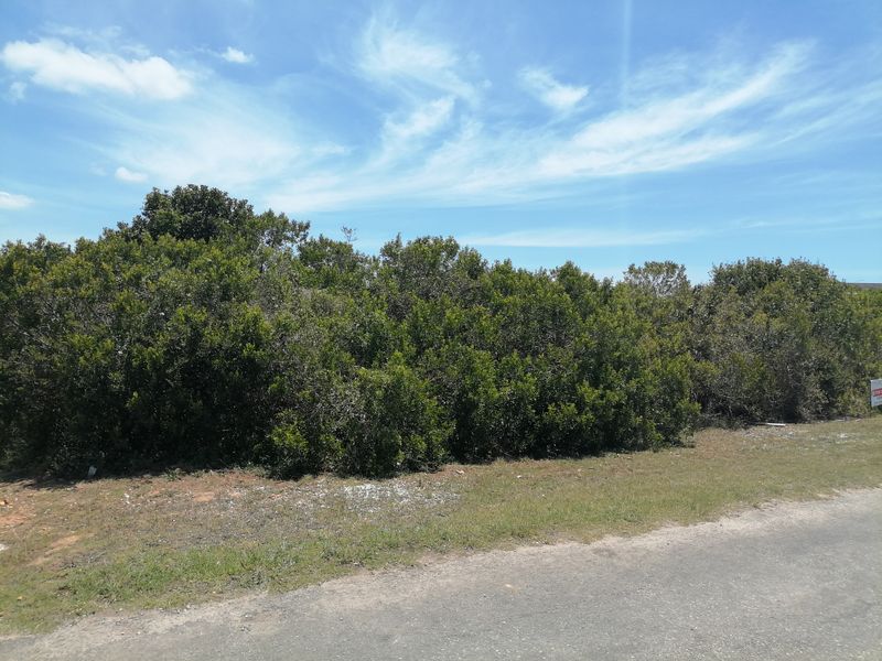Vacant Land for sale in Noorsekloof - Jeffrey's Bay - Photo 4