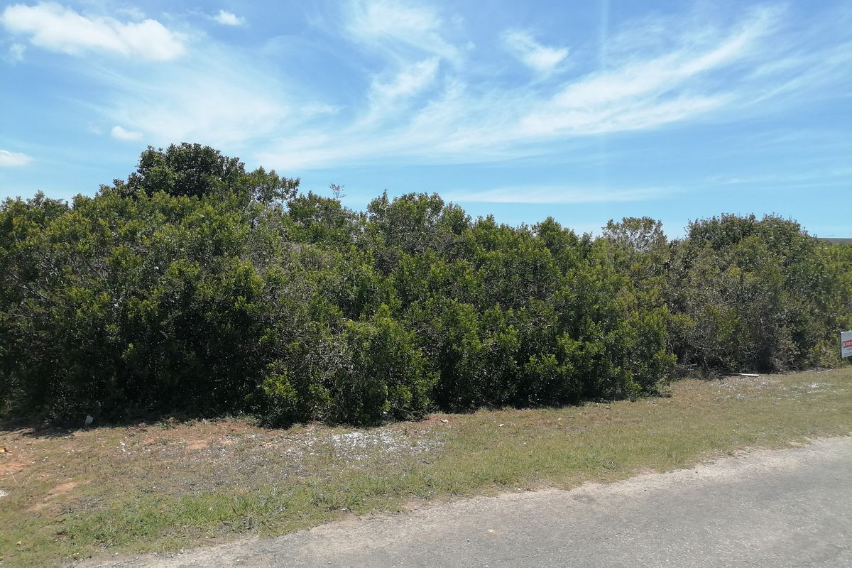 Vacant Land for sale in Noorsekloof - Jeffrey's Bay - Photo 4