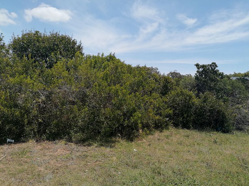 Vacant Land for sale in Noorsekloof - Jeffrey's Bay - Photo 5