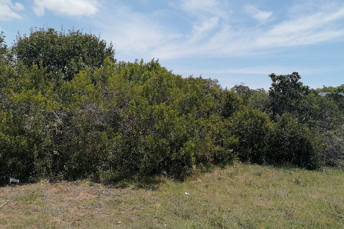 Vacant Land for sale in Noorsekloof - Jeffrey's Bay - Photo 5