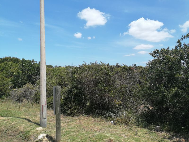 Vacant Land for sale in Noorsekloof - Jeffrey's Bay - Photo 6