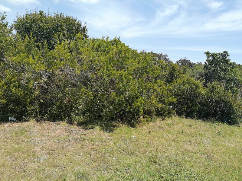 Vacant Land for sale in Noorsekloof - Jeffrey's Bay - Photo 7