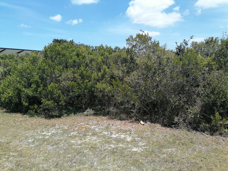 Vacant Land for sale in Noorsekloof - Jeffrey's Bay - Photo 8