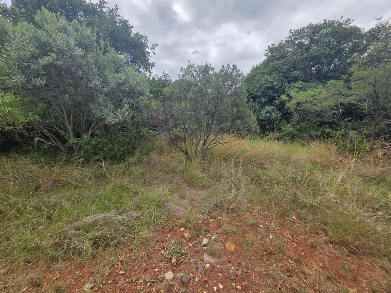 Vacant Land Residential For Sale In Hartbeespoort - Photo 5