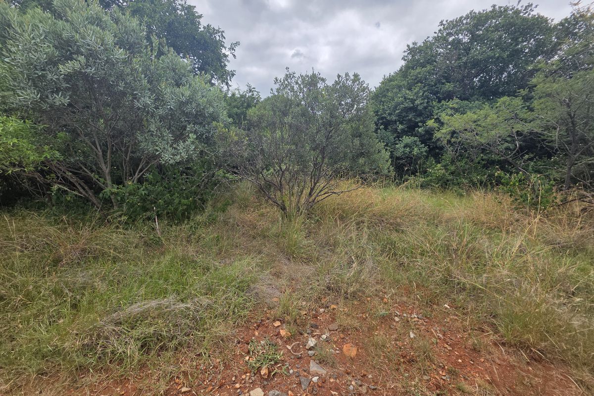 Vacant Land Residential For Sale In Hartbeespoort - Photo 5