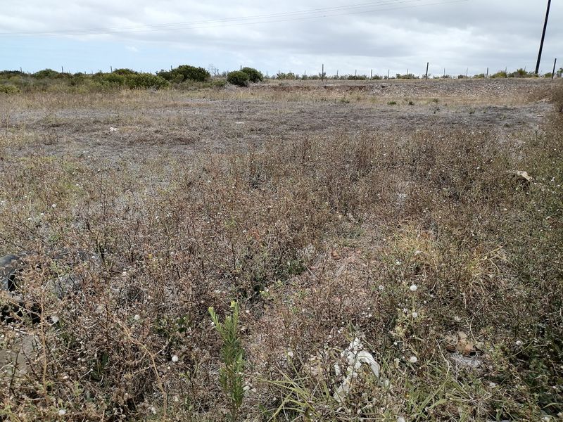 Vacant Land/Plot for Sale in C Place - Photo 2