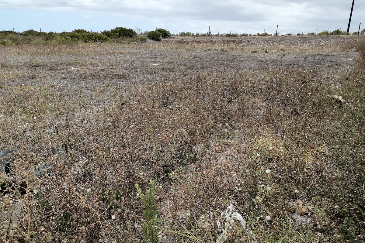 Vacant Land/Plot for Sale in C Place - Photo 2