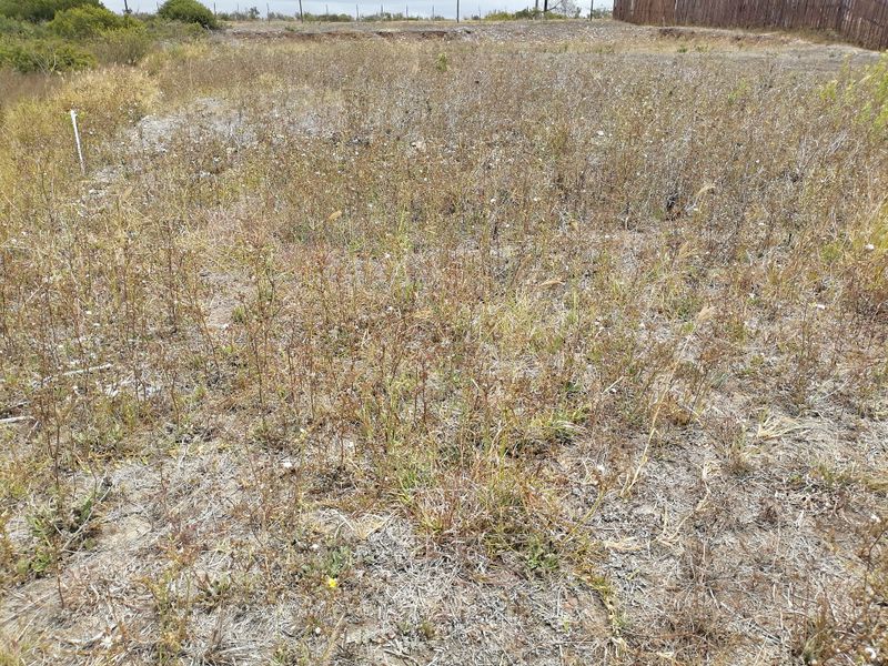 Vacant Land/Plot for Sale in C Place - Photo 4