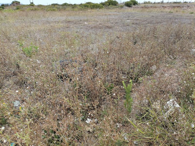 Vacant Land/Plot for Sale in C Place - Photo 3