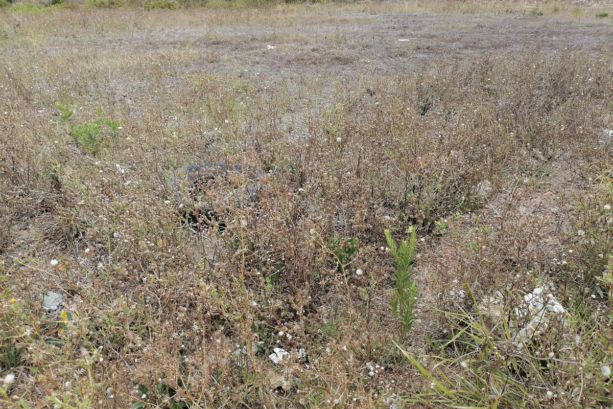 Vacant Land/Plot for Sale in C Place - Photo 3