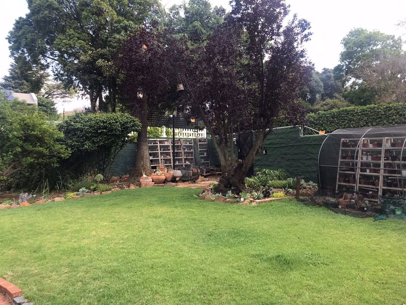 A well-maintained garden area featuring a lush lawn, mature trees, and a painted retaining wall with integrated shelving.