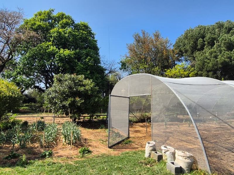A spacious garden area featuring a functional polytunnel for cultivation, surrounded by mature trees and established vegetable patches on a small holding.