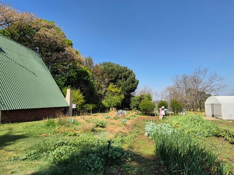 Rear view of an A-frame house featuring a corrugated metal roof, solar geyser, and an established vegetable garden with a greenhouse tunnel.