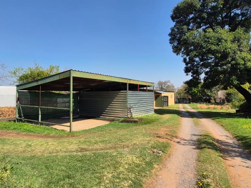 Outdoor area featuring a corrugated metal shed, a greenhouse tunnel, and a gravel driveway on a small holding property.