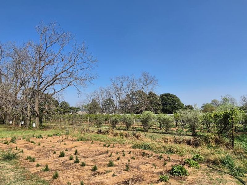 Expansive small holding garden area featuring mature trees, cultivated planting rows, and practical water storage infrastructure.